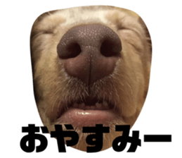 98715359