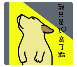 9871816