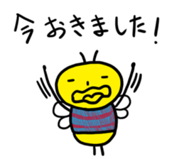 9896817