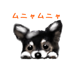 9900400
