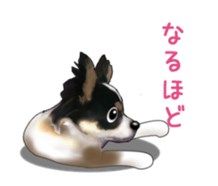 9900401