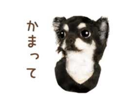 9900403