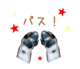 9900406