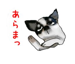 9900418