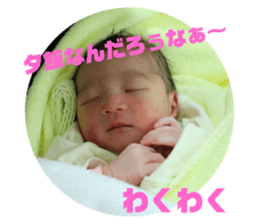99025944