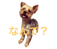 99030359