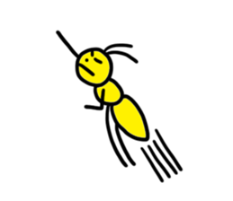 9905572