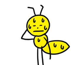 9905579