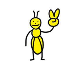 9905595