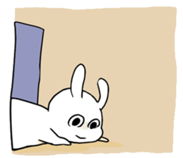 9909081