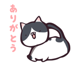9914033
