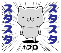 99300507