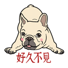 9936964