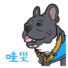 9936970