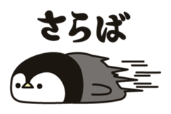 9938887