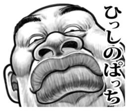 9944181
