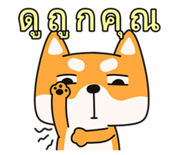 9949029