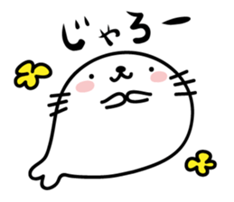 9962372