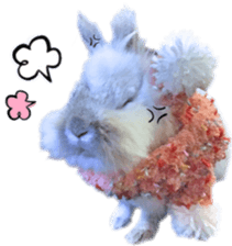 99624340