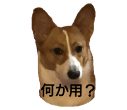 99650883