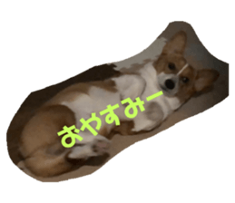 99650884