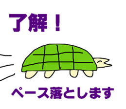 9968881