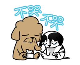 99699230