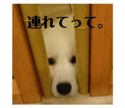 99701881