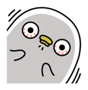 9972066
