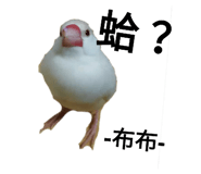99751978