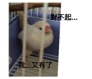 99751980