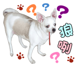 99798600