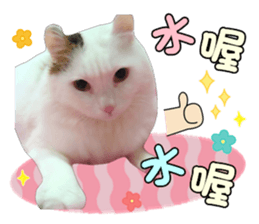 99798614