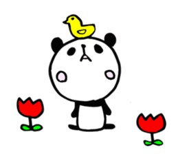 9983216