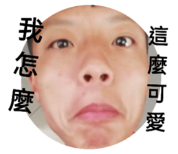 99855877