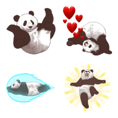 Strange pose Panda Emoji