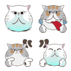 40 Emoji Persian cat