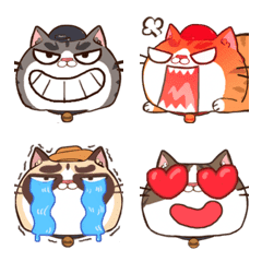 What the Cat emoji