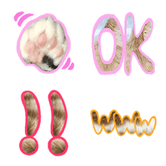 cats daily use and cute emoji