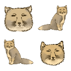 Tibetan Sand Fox -Emoji-