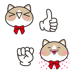 JK cat Emoji everyday