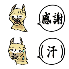 Kanji dari Llama