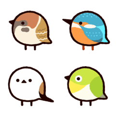 Pássaros bonitos