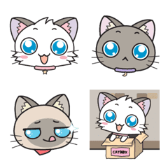 Hoshi & Luna Diary : Emoji