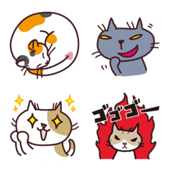 Various cat