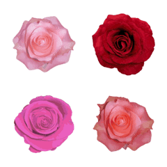 Real rose