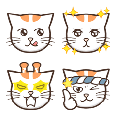Orange white cat "FARDI" emoji1
