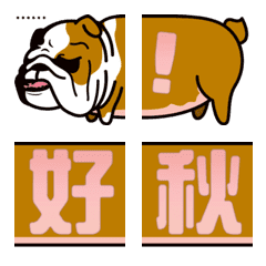 English Bulldog 英國鬥牛犬滷蛋 -問候篇