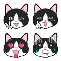 Lovely kitten Emoji