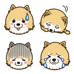 An Emoji willingly. Pomeranian Crying